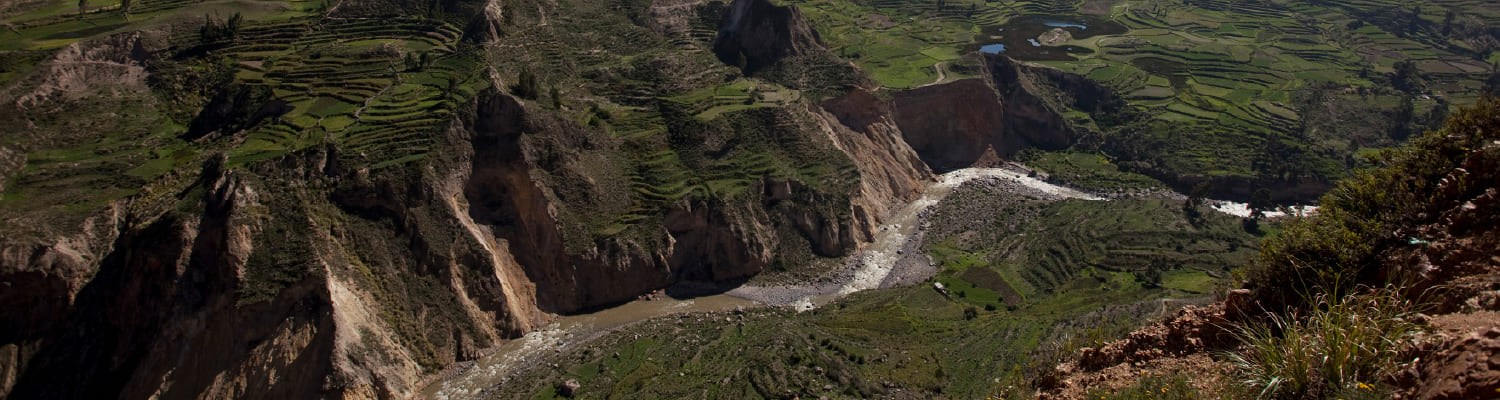 Imagen de presentación